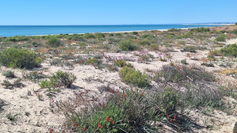 3 Bedroom Property for Sale in Atlantic Waves Estate Western Cape